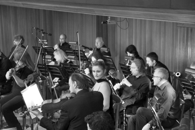 orchestra_8165