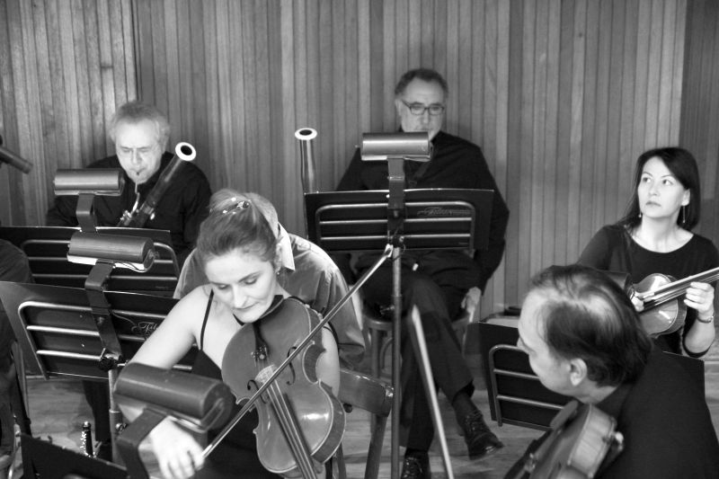 orchestra_8178