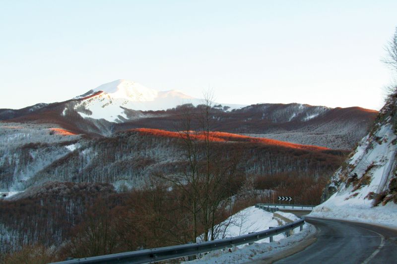 valdenza495
