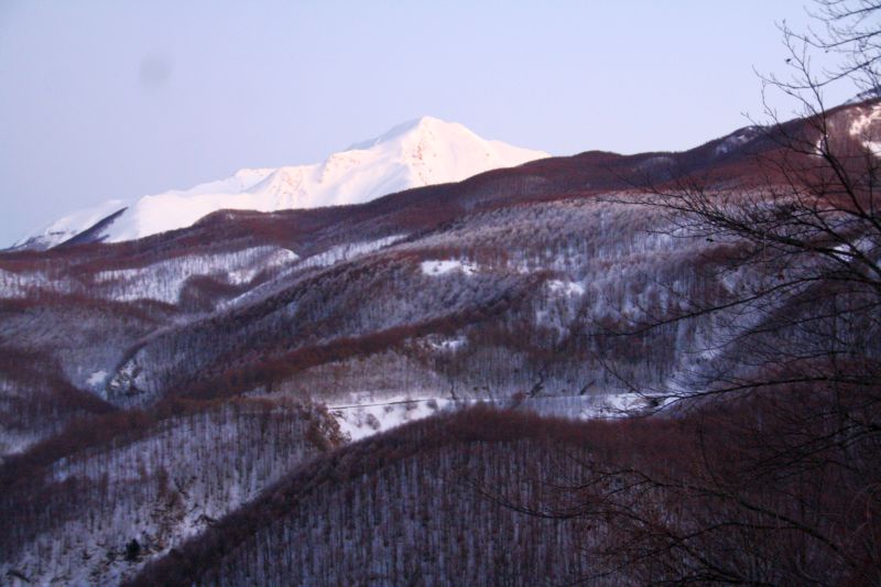 valdenza547