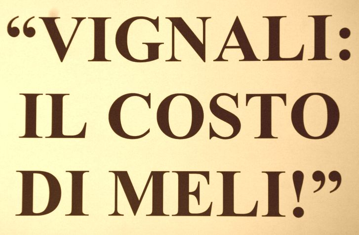 vignalimeli04