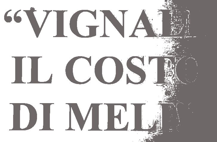 vignalimeli09