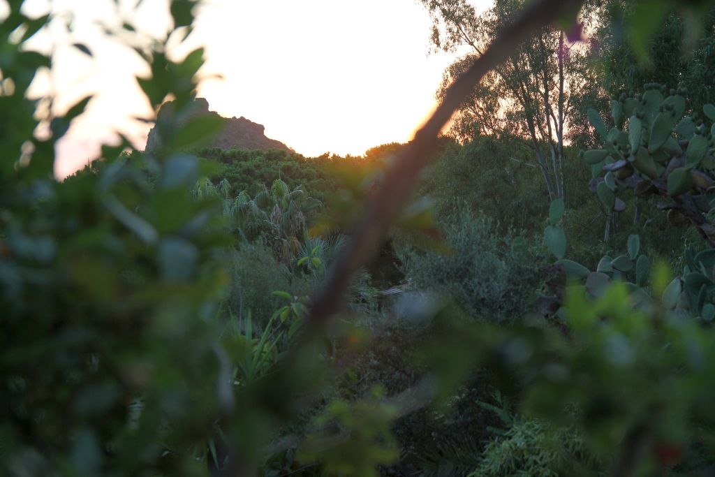alba-dal-giardino-img_0089
