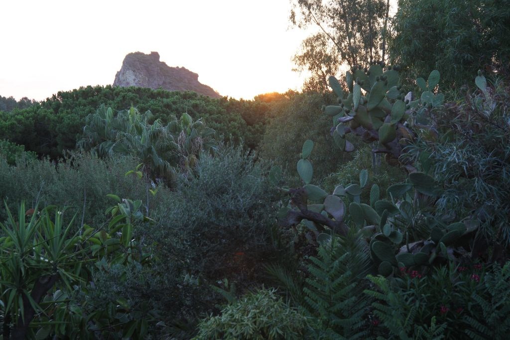 alba-giardino-img_0090