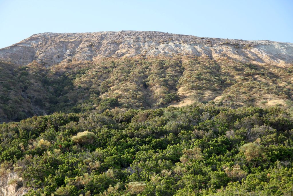vegatazione-vulcano-img_0124