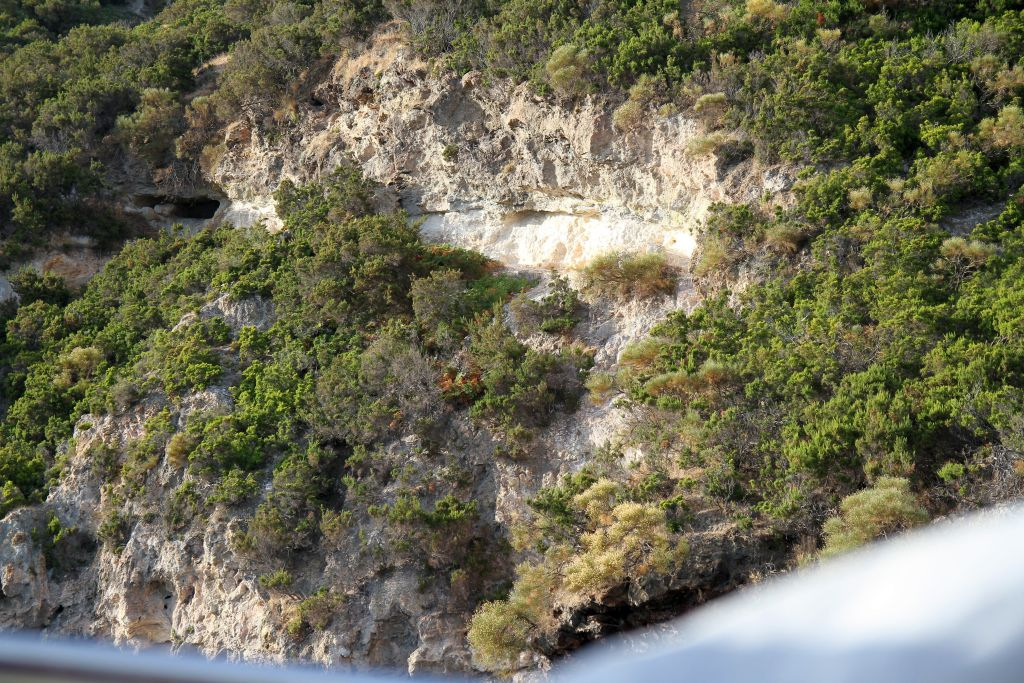 vegetazione-sulla-costa-de-lvulcano-img_0126