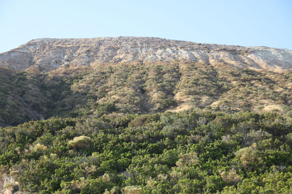 vegetazione-vulcano-dalla-barca-img_0123