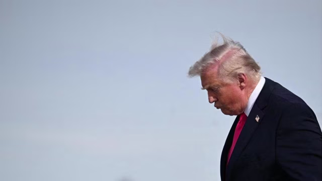 trump-consenso
